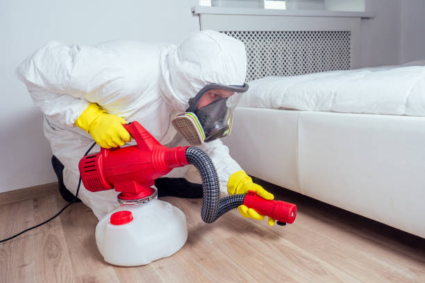 Best Termite Control Services  in Venice, IL