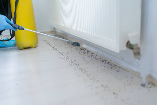 Best Pest Prevention Services  in Venice, IL