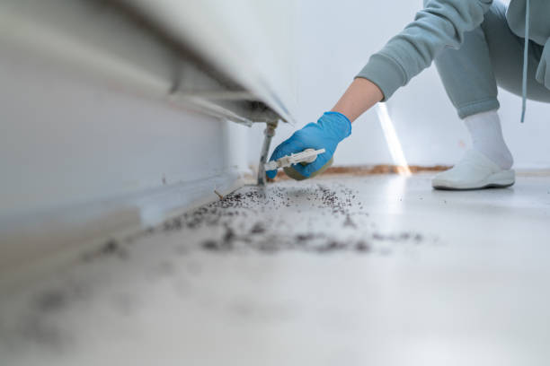 Best Pest Removal Services  in Venice, IL